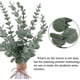 thumbnail image 3 of Xiao Hua 24 tallos de eucalipto artificiales para decoración, hojas de eucalipto, ramas de vegetación artificial para centros de mesa de boda, arreglos florales, decoración de casa de campo., 3 of 5