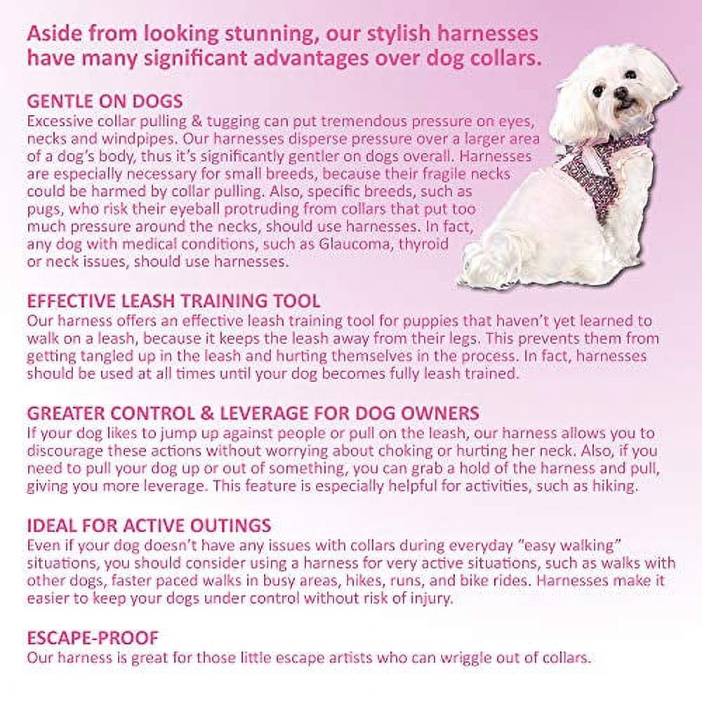 Pooch Outfitters Dog Harness Collection | Dog Walking with Style – Extensive Selection of Unique, Fashionable Harnesses That Suit Any Taste, Mood, Occasion
