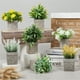 thumbnail image 1 of Decoración hogareña Planta artificial de Gwong con la olla de flores que atrapa el arreglo de flores de boda de plástico para el hogar Gwong 21081097, 1 of 6