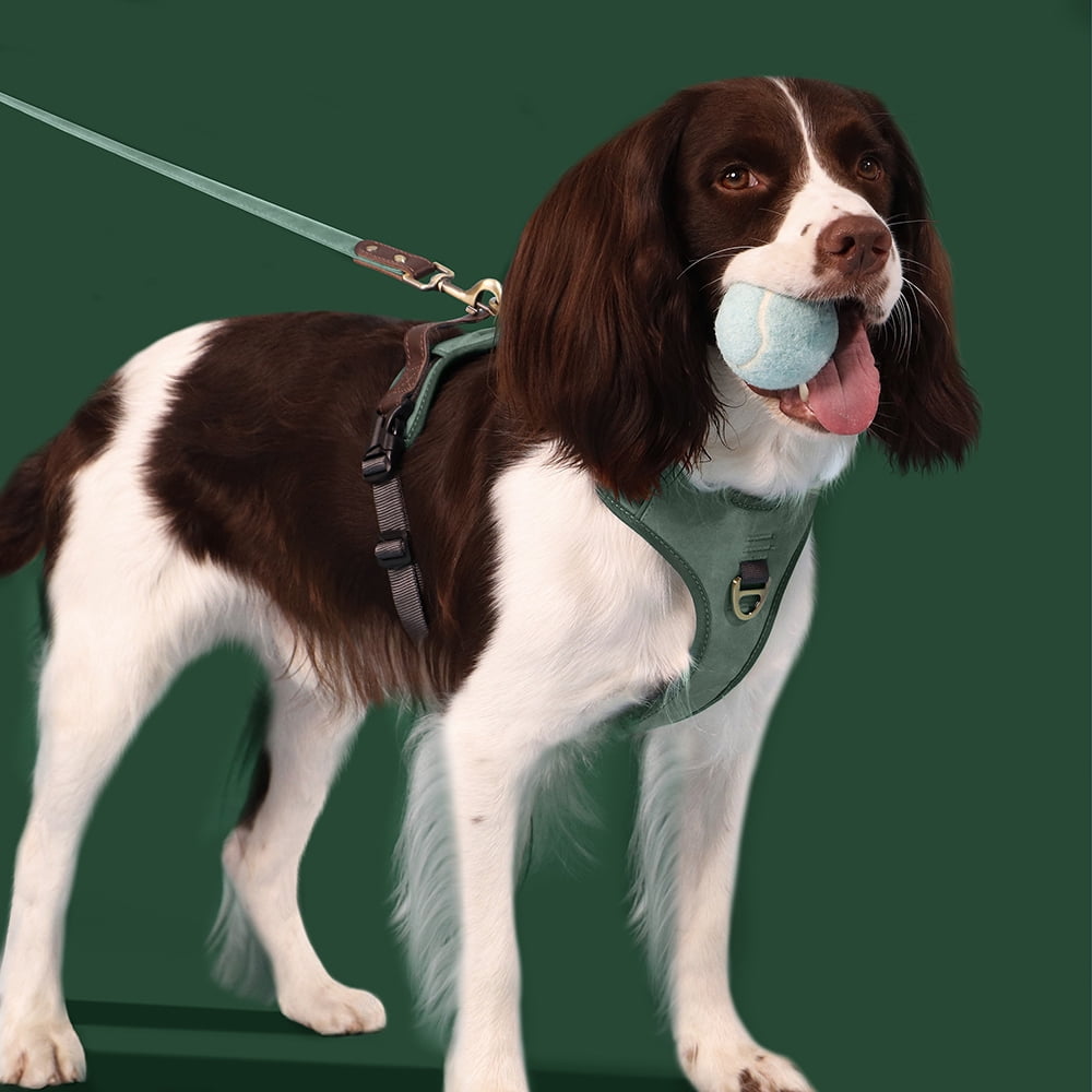 Pet Artist No Pull PU Leather Dog Harness, Adjustable Pet Vest with Handle, Quick Fit Easy Control Soft Padded Vest for Small Medium Large Dogs