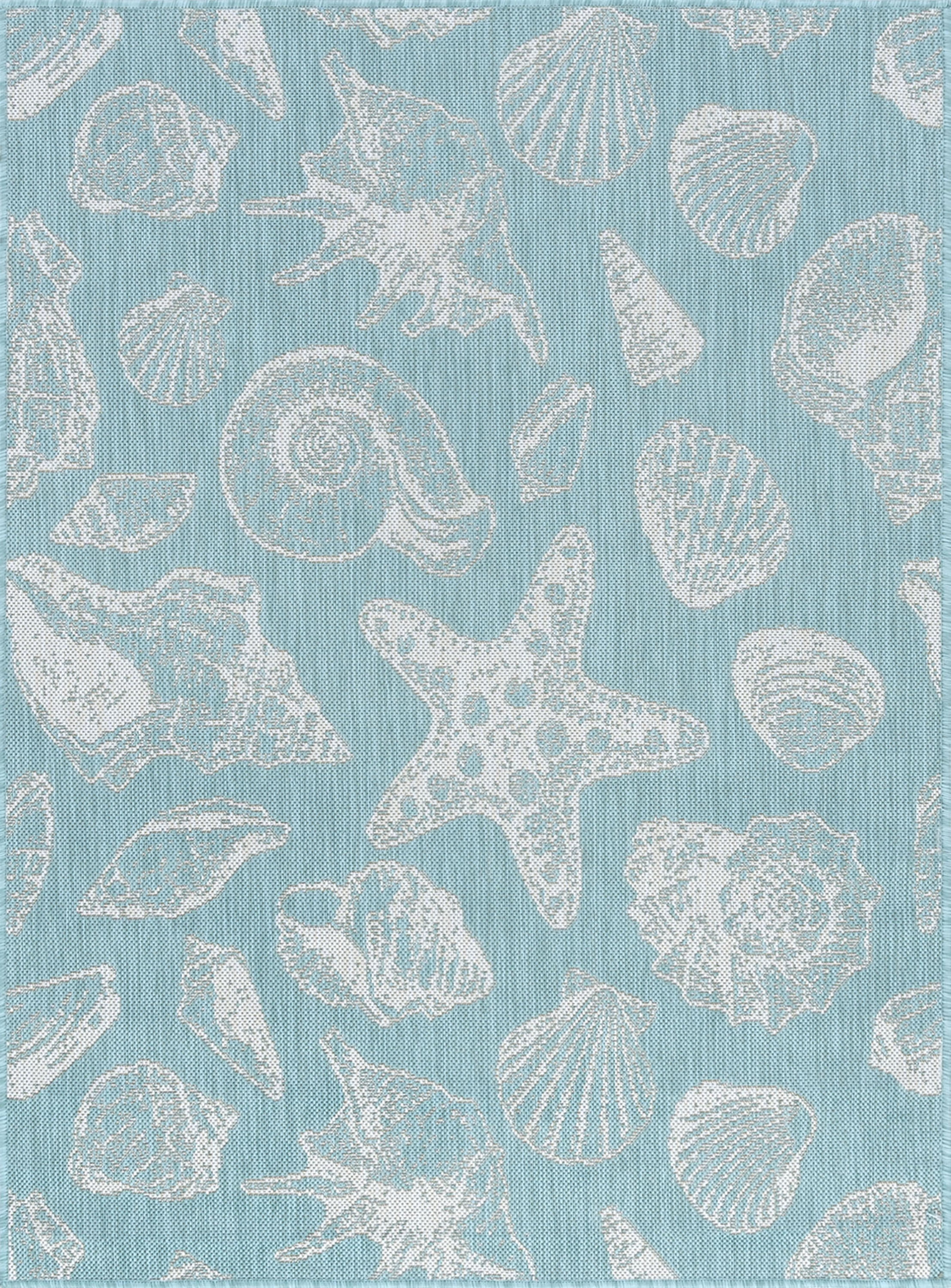 4x6 Water Resistant, Indoor Outdoor Rugs for Patios, Front Door Entry, Entryway, Deck, Porch, Balcony | Outside Area Rug for Patio | Aqua, Coastal | Size: 4' x 5'3''
