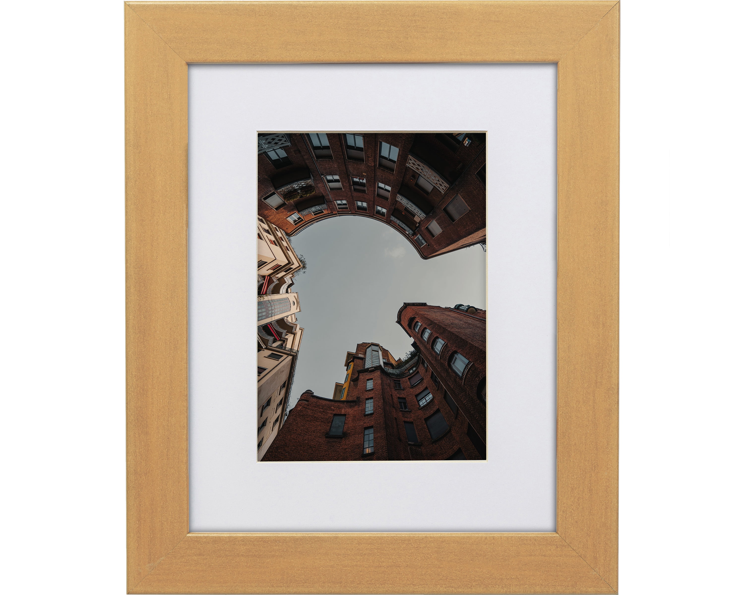 Craig Frames 30x38 inch Gold Picture Frame Matted for a 24x32 Photo