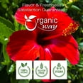 thumbnail image 2 of Organic Way Dried Hibiscus Flower Cut & Sifted (Hibiscus rosa-sinensis) | Herbal Tea - Organic & Kosher Certified | Raw, Vegan, Non GMO & Gluten Free | USDA Certified | Origin - India | 2 Ounce, 2 of 8
