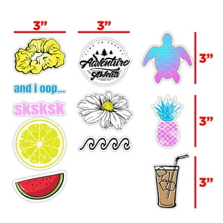 QTL Cute Stickers Black and White Vsco Stickers for Teen Girls Black White Stickers for Water Bottle Laptop Stickers for Adults Waterproof Stickers