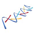 thumbnail image 3 of Children Walking Rope, Different Colors Walking Rope Keeping Lines Up  for Outdoor, 3 of 8