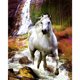 thumbnail image 2 of Cuadros Decorativos Kit de punto de cruz de hilo de algodón ecológico de 11 quilates con estampado de caballo blanco bordado completo Ndcxsfigh Nuevos Originales, 2 of 8