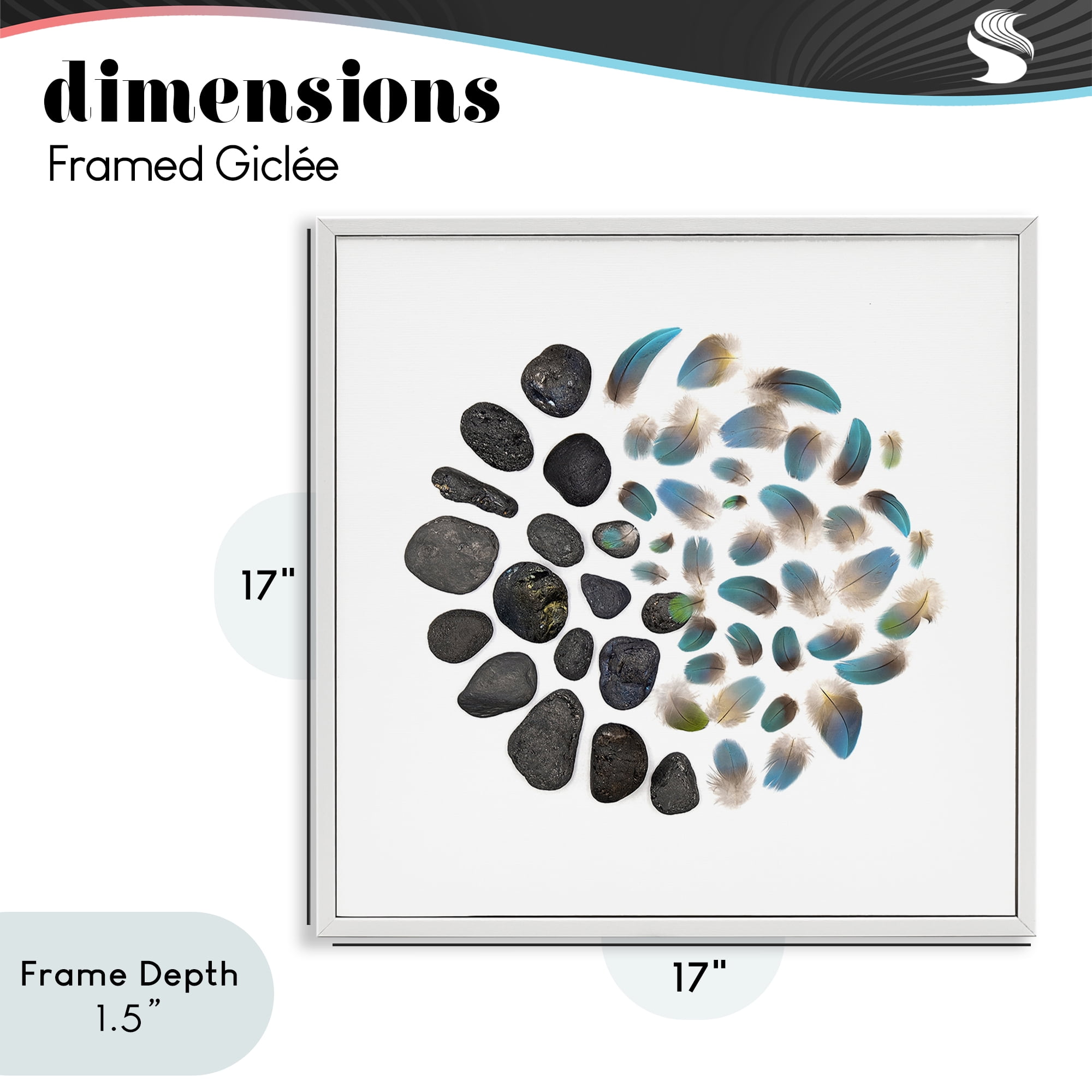 Stupell Industries Feathers & Rocks Collection White Framed Giclee Art, design by Beth Adoette