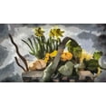 thumbnail image 2 of Bolokofsky, Ronald 14x10 White Modern Wood Framed Museum Art Print Titled - Flower Basket V, 2 of 4