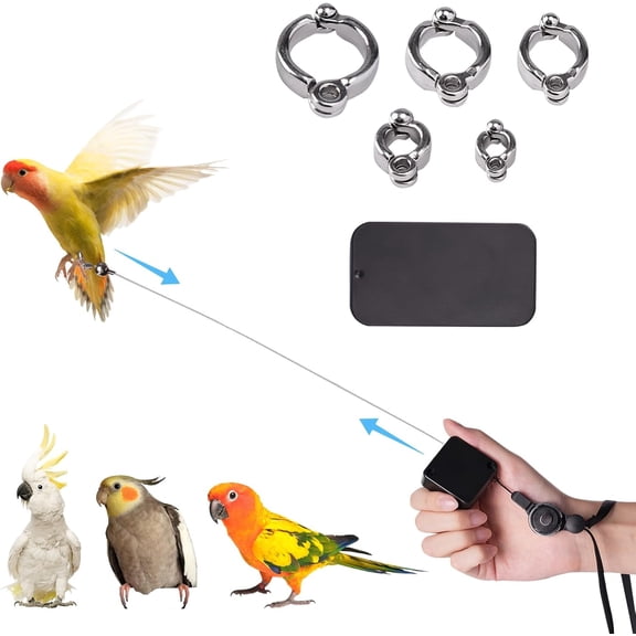 Bird Leash, with 5 Different Size Foot Ring and Feeder Box, Retractable Anti-Bite Parrot Harness, Bird Flight Training Rope for Budgies,Cockatiels,Psittacula Longicauda,Mini Macaws (6.5Ft)