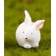 thumbnail image 1 of Conejo DIY micro paisaje jardinería decoración Musgo pequeño animal pastel decoración llavero colgante dibujos animados Pequeño Conejo Blanco, 1 of 6