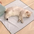 thumbnail image 3 of Cat Grooming Wrap Self Adherent Scratch Escape Calming Pet Tool for Nail Clipping Stress Anxiety Control Comfortable Durable Multifunctional, 3 of 8