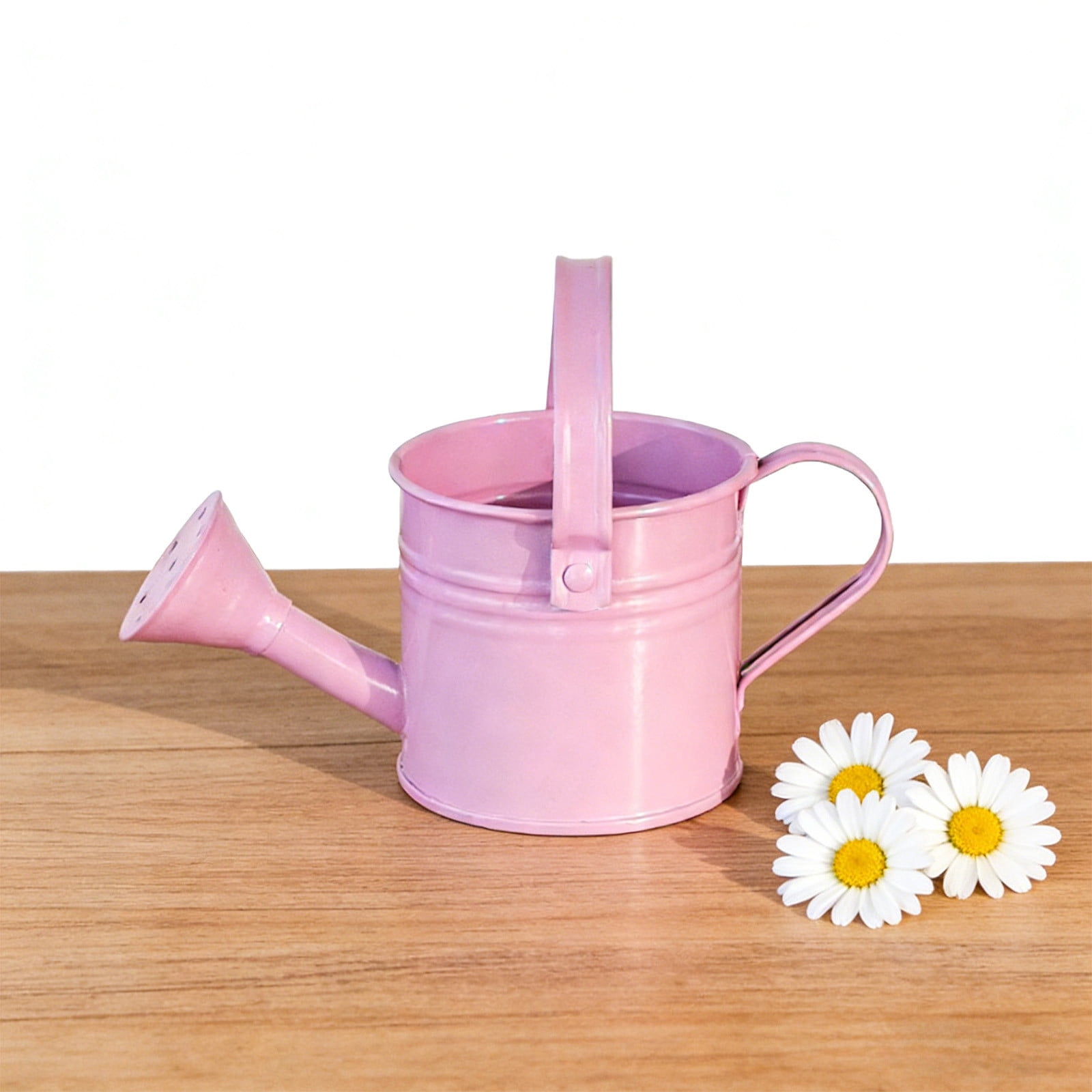 Tusihei Mini Watering Can, Small Cute Iron Watering Can with Sprinkler Head and Handle, Durable Portable Decorative Sprinkling Can for Gardening Succulents Houseplants Bonsai