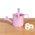 thumbnail image 6 of Pink Watering Can Metal Pot with Sprinkler Head - Pastel Style Waterer, Outdoor Decor, Aluminum Water Pot with Detachable Sprinkler for Indoor Outdoor Greenery, Windowsills and Courtyards, 6 of 6