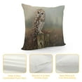 thumbnail image 4 of Orinice Owl Graphic Decorative Throw Pillow Cover for Home Couch Living Room Bed Sofa with Zipper Closure - Printed on Both Sides - 1PC 20x20in, 4 of 5