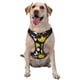 thumbnail image 1 of Fotbe Balls Arnés para Perro con Estampado –Chaleco Ajustable Acolchado con Asa de Control para Perros Grandes-X-Large, 1 of 6