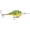 Firetiger, variant on Rapala DT 6 Crankbait Fishing Lure in Helsinki Shad Color
