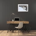 thumbnail image 3 of Goff, Ellen B. 32x23 White Modern Wood Framed Museum Art Print Titled - Southern Ocean-South Georgia-king penguin-elephant seals, 3 of 4