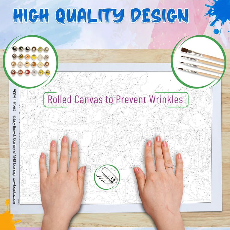 Diy Acrylic Paint By Numbers Kit For Kids & Adults, Rolled Canvas