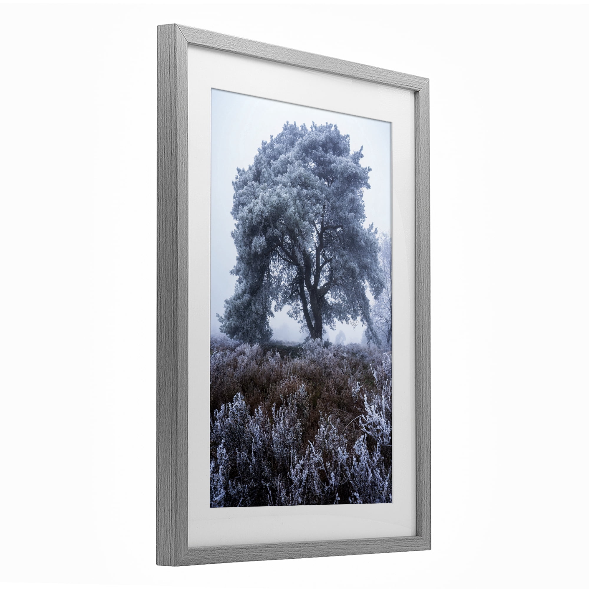 Stupell Industries Frosted Tree in Winter Mist Gray Framed Print Under Glass, design by Martin Podt