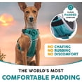 thumbnail image 6 of Embark Pets Sports Medium Dog Harness, No Pull, Lightweight, Breathable, Size Adjustable, Handle for Control, Blue, 6 of 8