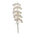 thumbnail image 3 of 50 Piezas Bayas de Espuma Artificial, Bricolaje, Accesorios para Cabello, Pinzas Para Cabello, para Cabeza, Sombreros Beige BLESIY Ramita de bayas artificiales, 3 of 8