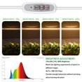 thumbnail image 4 of Grow Light RWNTAO de dos cabezales, espectro completo, 10 W, con temporizador 4 regulables, 4 of 8