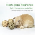 thumbnail image 3 of Rabbit Ball Toys Bunny Treats Toys For Teething Small Animal Chew Toys Grass Ball For Dwarf Hamster Rabbits Guinea Pigs Gerbils, 5 PCS, 3 of 8