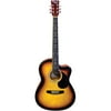 Hal Leonard Chordbuddy Youth Cutaway Acoustic Guitar