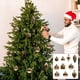 thumbnail image 1 of Xihbxyly 12 Adornos Navideños para Árbol de Navidad, Bolas de Plástico Brillantes, Reutilizables, para Colgar En El Árbol, Ideales para Oficinas, Hoteles y Mansiones. Juego de 12., 1 of 4