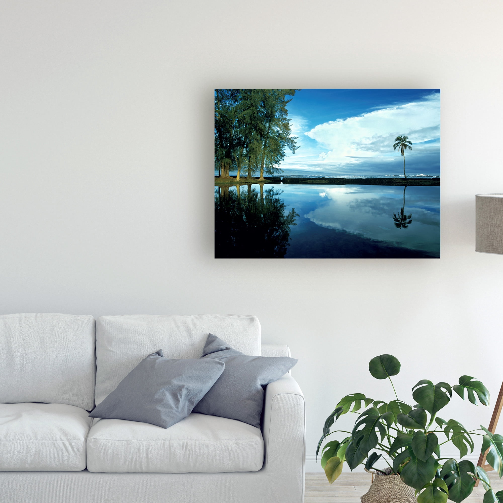Trademark Fine Art 'Palm Tree Alone Big Island Hawaii' Canvas Art by Monte Nagler