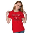 thumbnail image 3 of Ohio Vintage Buckeye Leaf Stencil OH Womens Slim Fit Graphic Tee Brisco Brands M, 3 of 5