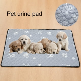 Dog urine in carpet pad cheap