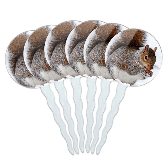 Squirrel Eating in Winter Cupcake Picks Toppers - Set of 6