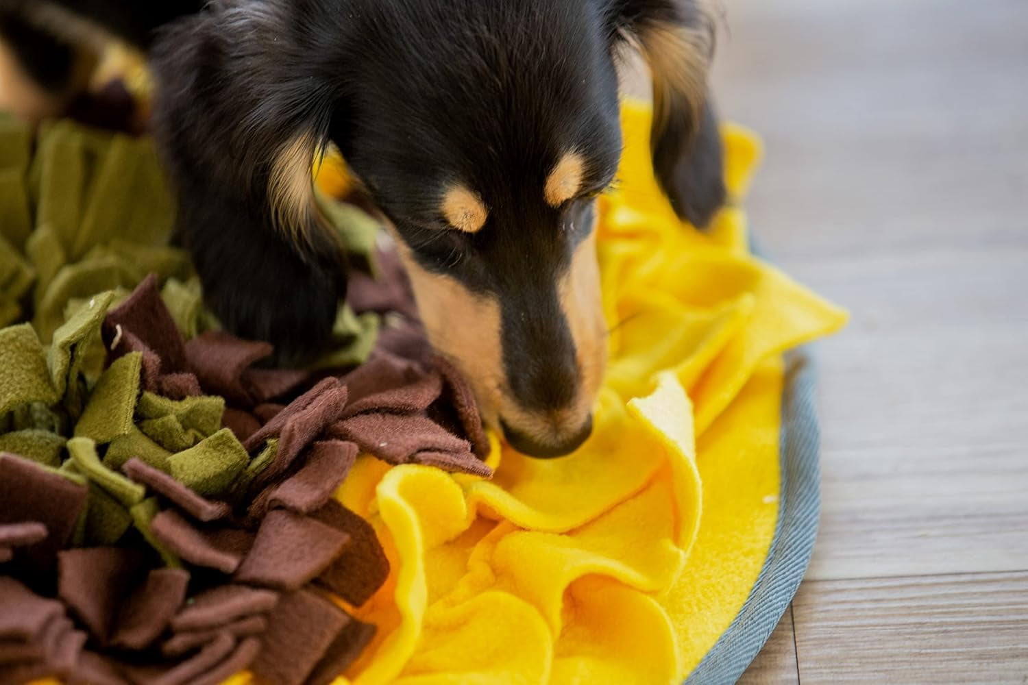 Snuffle Mat for Dogs, Large 19x19 Inch Plush Slow Feeder Mental Enrichment Toy, Interactie Foraging Puzzle to Reduce Anxiety & Boredom, Machine Washable Durable Chew Toy for All Breeds, Yellow