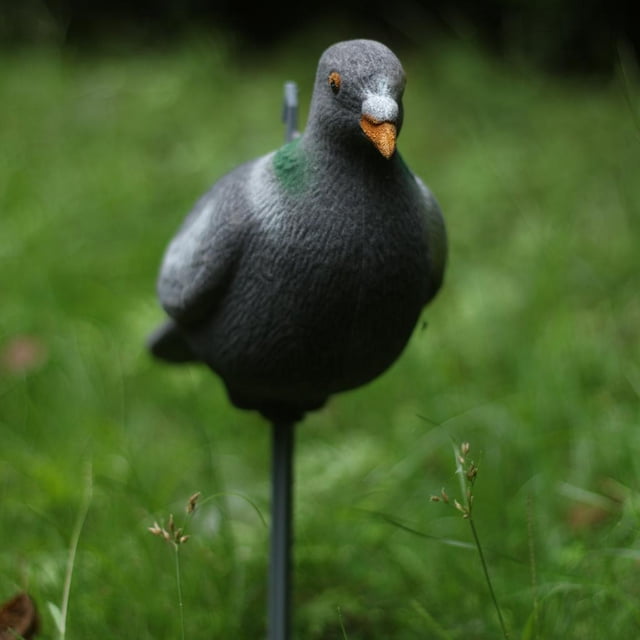 Señuelo para , Control de de Malezas, Espantapájaros para Espantapájaros de de ín CUTICAT Escarificador Jardín Yarda