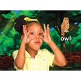 thumbnail image 4 of Rock N Learn: Dance With the Animals, 4 of 4