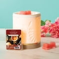 thumbnail image 3 of Leaves & Lattes Scented Wax Melts, ScentSationals, 2.5 oz (5-Pack), 3 of 9