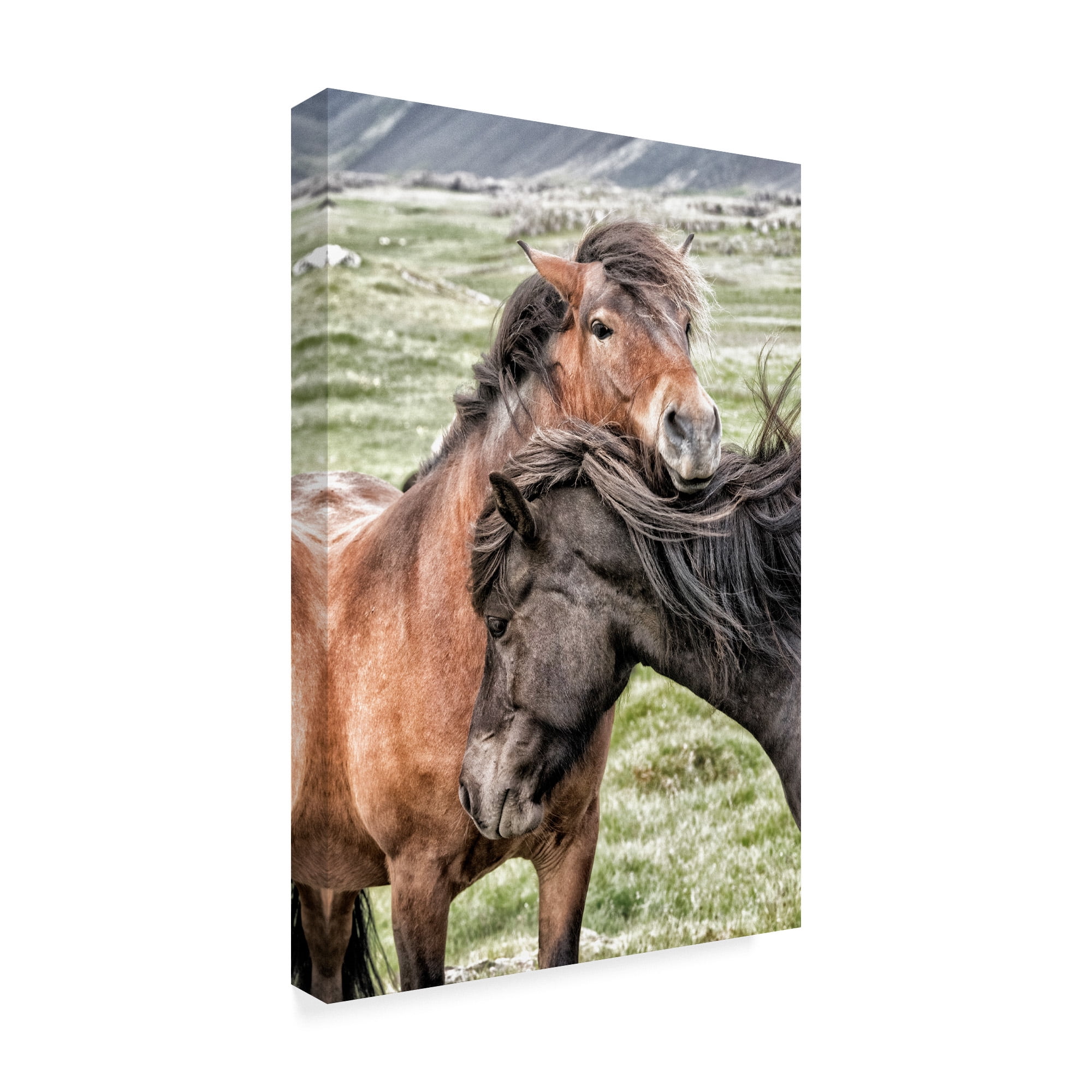 Trademark Fine Art 'Best Friends Horses' Canvas Art by Danny Head
