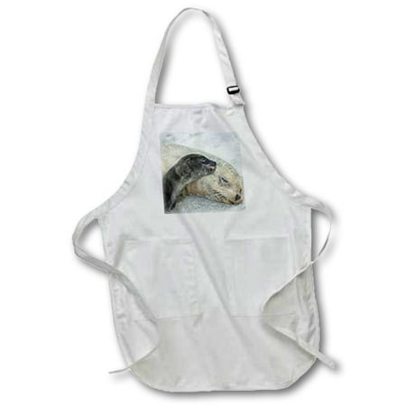 

3dRose Ecuador Galapagos Islands Espanola Sea-lion - SA07 BJA0015 - Jaynes Gallery - Full Length Apron 24 by 30-inch White With Pockets