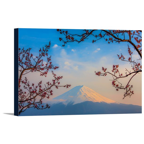 Mount Fuji Japan Cherry Blossom Trees Lantern Press Photography 18x12 Gallery Wrapped Stretched Canvas Walmart Com Walmart Com