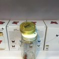 thumbnail image 5 of Butterfly Collection Jar Lamp Flying Butterfly with LED Lights for Family and Friends Gift, 5 of 5