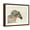 Brown Frame, variant on Art.com Into the Wind Ivory Reversed Stretched Canvas Print Wall Art by Albena Hristova, 16" x 12"