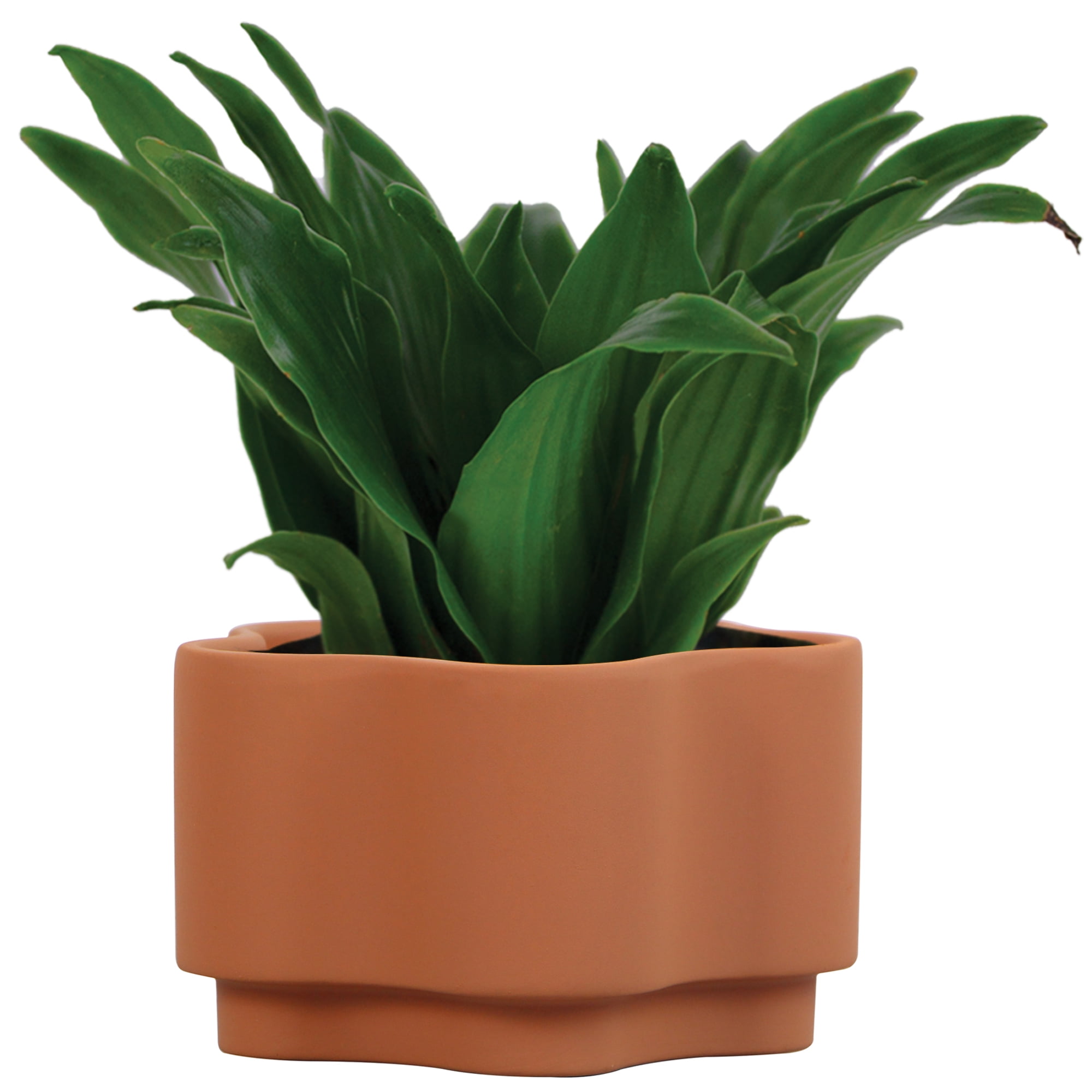 Mainstays 6IN Gemini Terra Plant, Flower-Shaped Terracotta Planter