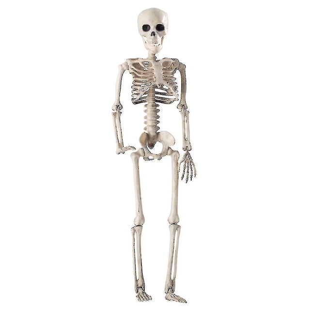 Huesos humanos realistas JanHm 36 cm Plástico