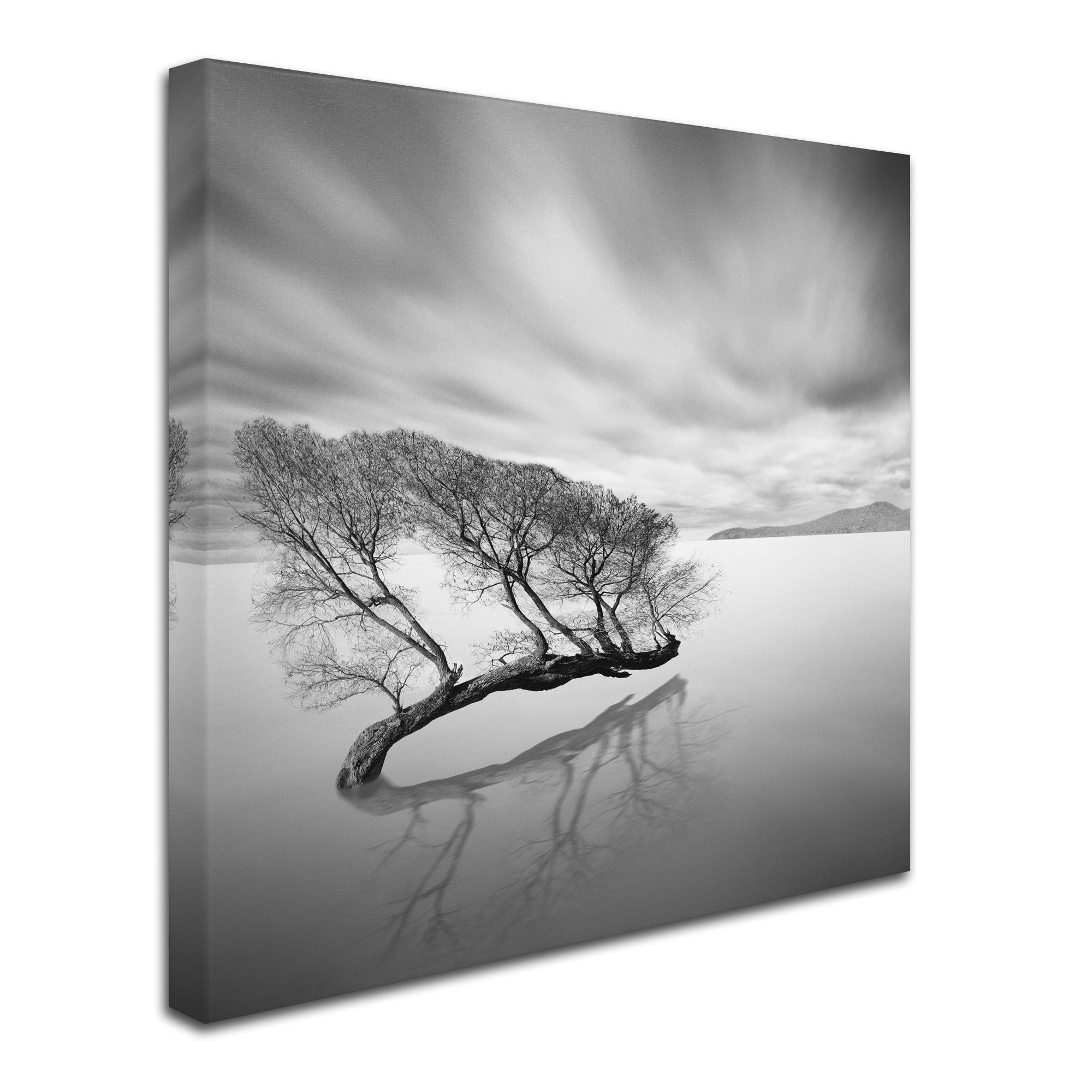 Trademark Fine Art "Water Tree VII" Canvas Art by Moises Levy