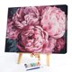 thumbnail image 2 of Cuadros Decorativos Kit de pintura DIY por número, flores de peonía rosa, sin marco para arte de decoración del hogar Sywqhk Nuevos Originales, 2 of 9