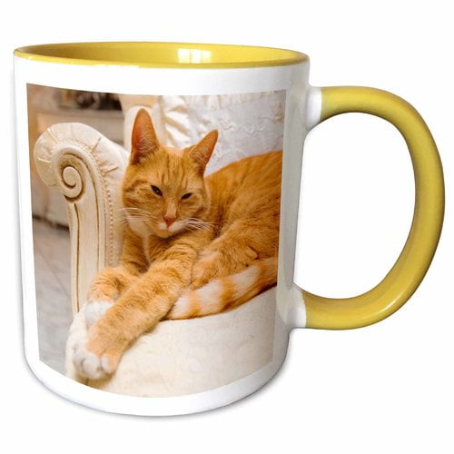 3dRose Happy Tabby Cat Relaxing on Fancy Armchair Coffee Mug