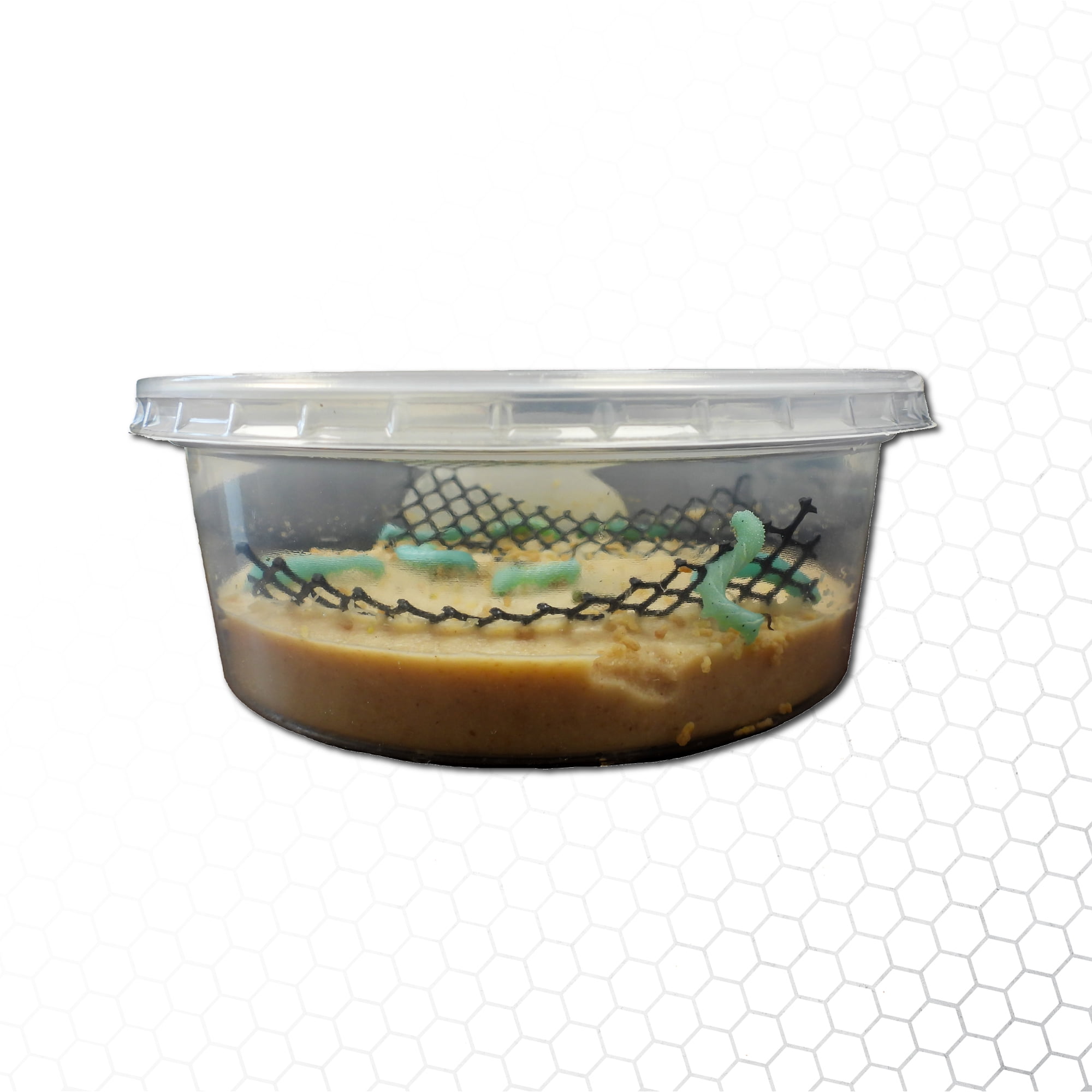 Mack's Natural Reptile Food 6 ct. Hornworm