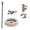 Stainless Steel, variant on Westbrass D1612TBL-26 1/2" Lever Handle Angle Stop Toilet Installation Kit with Steel Supply Line, Wax Ring and Flange, Polished Chome
