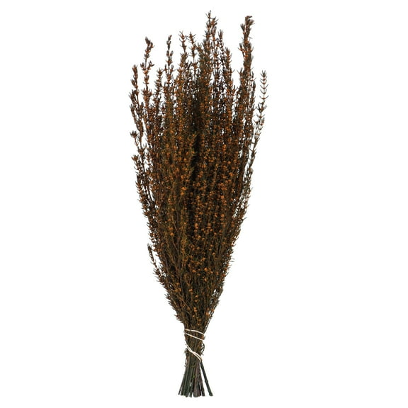 Vickerman 22-26" Autumn Grabia, 5-6 oz Bundle, Preserved